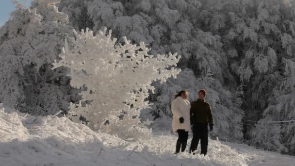 美丽的冬天 — 图库视频影像
