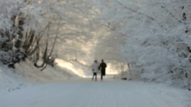 Twee mensen lopen In de sneeuw — Stockvideo