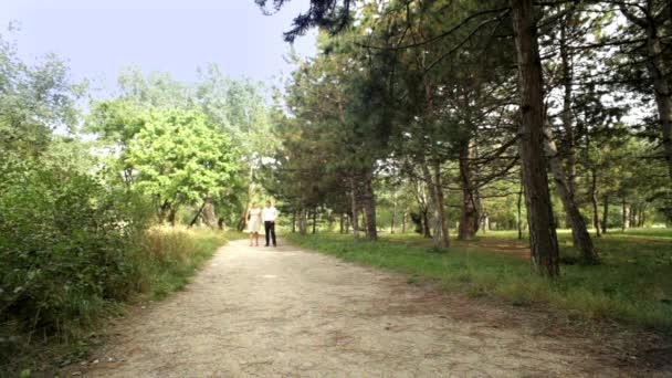 Romantische wandeling In het Park — Stockvideo