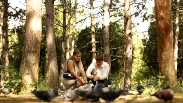 Tineri Cuplu Feed The Pigeons — Videoclip de stoc