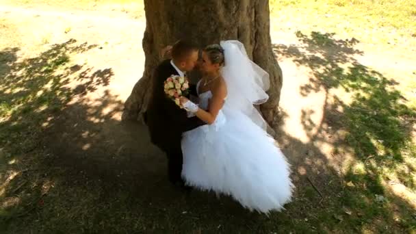 Recém-casados beijando sob uma árvore — Vídeo de Stock