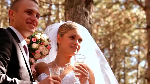 Recién casados celebran su boda — Vídeos de Stock