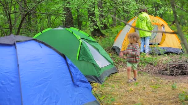 Het bos is een camping. — Stockvideo