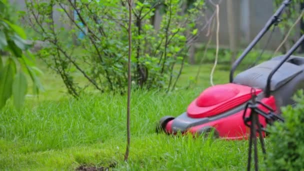 Hombre mayor segando césped crecido en su patio — Vídeos de Stock