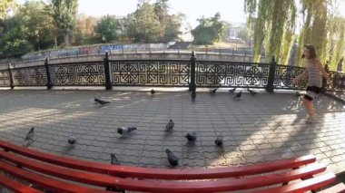 Ağır çekim. Çocuk güvercinleri korkutmak.