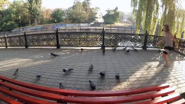 Lenteur de la motion. Les enfants font peur aux pigeons . — Video