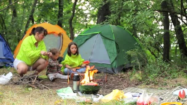 Family camping in the woods marshmallow roasts. — Stock Video