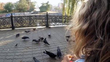 Ağır çekim. Bir çocuk bir parkta güvercin besleme