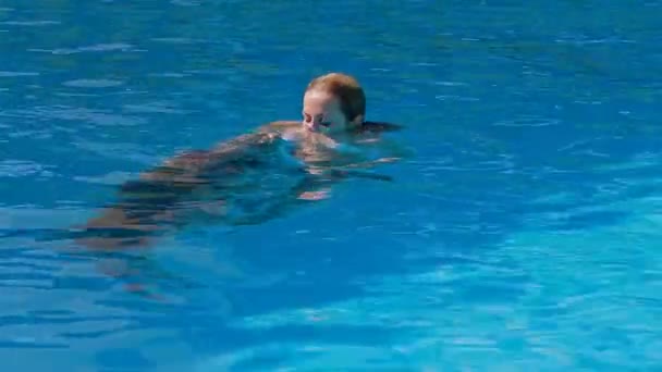 Young Girl And Dolphin Training In Pool — Stock Video