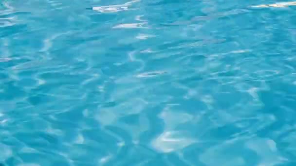 Yüzme havuzunda mavi yırtık su — Stok video