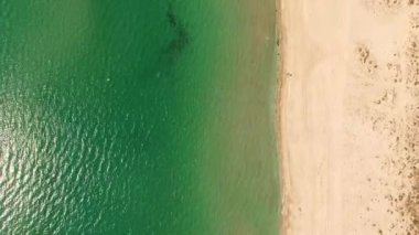 Havadan görünümü. Sandy Beach Kırım '