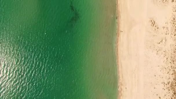 VISTA AERIAL. Playa de arena en la Crimea — Vídeo de stock