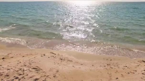 VISTA AERIAL. Mãe feliz com duas crianças correndo para o mar — Vídeo de Stock