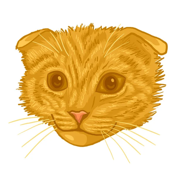 baş kedi maskotu gerçekçi vektör çizimi