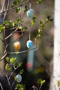 Ağaçta asılı renkli paskalya yumurtalarının yakın çekimi.