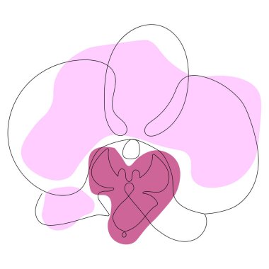 Orkide çiçeği. Bir satır sanat