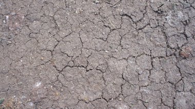 Kuru toprak çatlakları. Toprakta çatlaklar var. Çöl tehdidi. fotoğraf