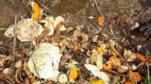 Matavfall Komposthög Kompostering Rösta Jäsning — Stockfoto