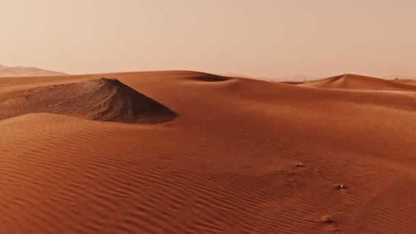 Vertikal panorering från en quadcopter. Sanddyner i öknen i Dubai, Förenade Arabemiraten — Stockvideo