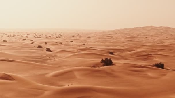 Panning verticale da un quadricottero. Dune di sabbia nel deserto a Dubai, Emirati Arabi Uniti — Video Stock
