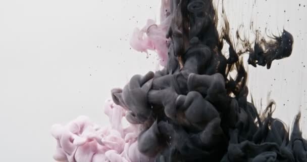 Két szín festék erőteljesen rohan a vízbe, örvénylik és terjed — Stock videók