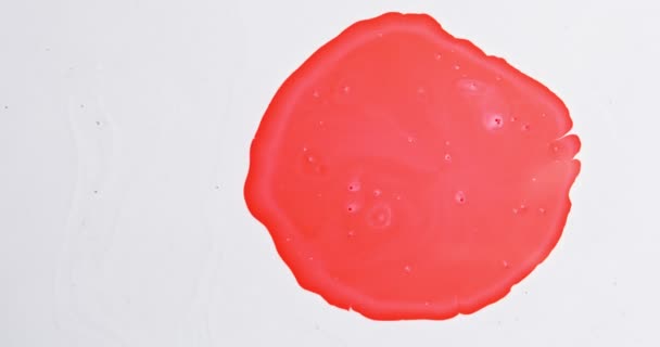 Una gota de pintura roja se extiende rápidamente en un círculo uniforme sobre un fondo blanco — Vídeo de stock
