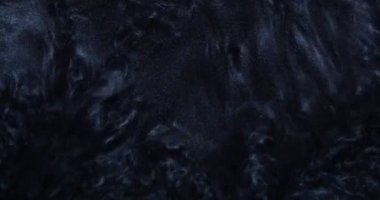 Parlayan parlak, koyu renkli boya köpürüyor, parlıyor.