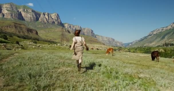 Cáucaso. Uma jovem corre entre vacas pastando em pastagens nas montanhas — Vídeo de Stock