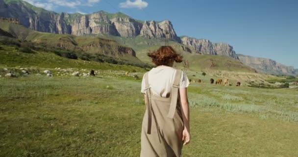 Кавказ. Молодая женщина ходит среди коров, пасущихся на пастбищах в горах — стоковое видео