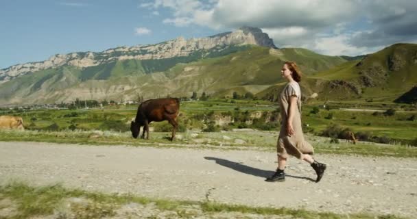 若い女性が牛の放牧地を通り、山の間を歩く — ストック動画