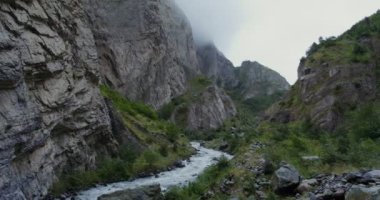 Dağ nehri, kayaların arasında güçlü bir akıntıyla kaynıyor.