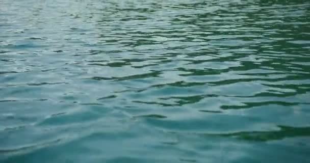 Close-up of water ripples in fast flowing mountain river — Stock Video