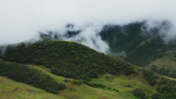 Vista de la montaña Valle del Cáucaso con campos y bosques densos desde un quadcopter — Vídeo de stock