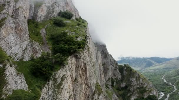 Rotsachtige berghelling begroeid met groen close-up berg vallei met rivier — Stockvideo