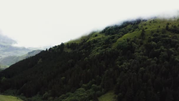 Dichter Wald am Berghang. Eine Siedlung in der Talsohle. — Stockvideo