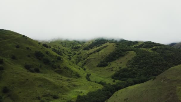 Zielona pagórkowata dolina z polami i lasami. Widok z lotu ptaka na tereny górskie — Wideo stockowe