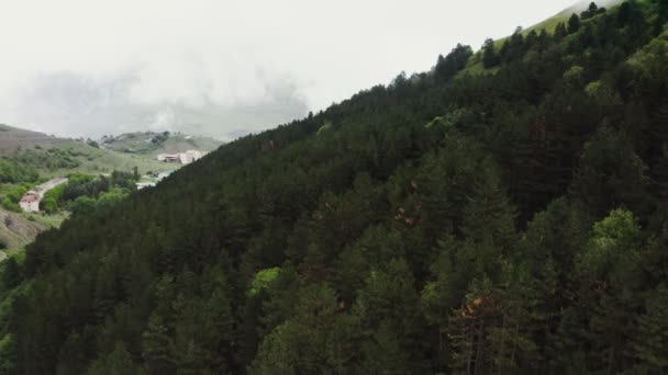 Dichter Wald am Berghang. Eine Siedlung in der Talsohle. — Stockvideo