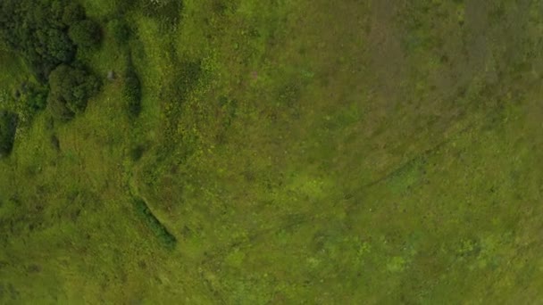 Top view of the green grass growing in the hills. — Stock Video