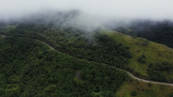 Blick von oben aus einem Quadrocopter auf eine Bergstraße auf einem Hügel, inmitten dichten Waldes — Stockvideo