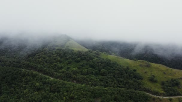 Blick von oben aus einem Quadrocopter auf eine Bergstraße auf einem Hügel, inmitten dichten Waldes — Stockvideo