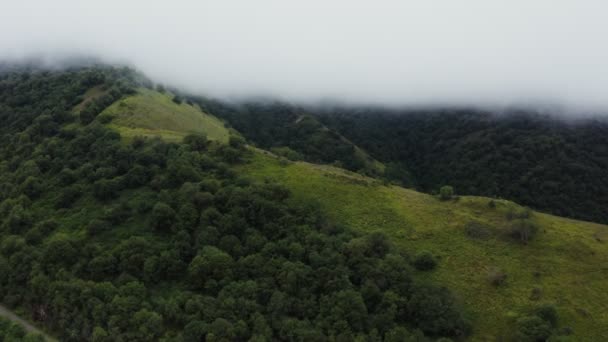 Blick von oben aus einem Quadrocopter auf eine Bergstraße auf einem Hügel, inmitten dichten Waldes — Stockvideo