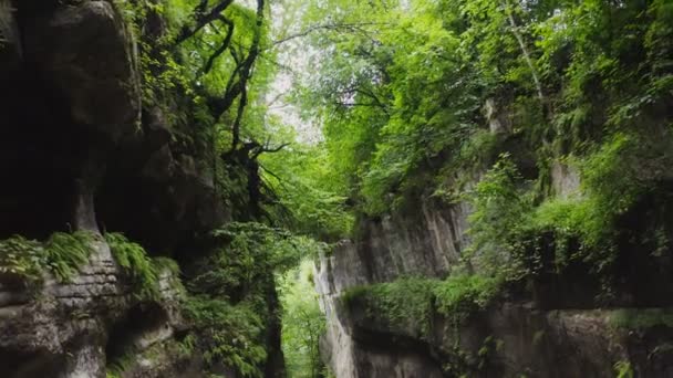 Eine enge tiefe Felsspalte zwischen steilen Felsen, dicht bewachsen mit viel Grün — Stockvideo