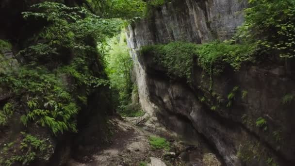 A crevice between cliffs with a fast mountain stream in the lowland — Stock Video
