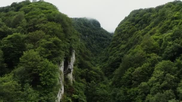 Vista del desfiladero de la montaña, densamente cubierto de bosque verde desde un dron — Vídeo de stock