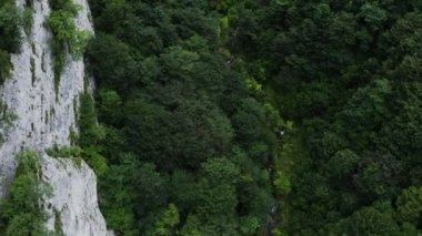 Dağ geçidi manzarası, ovalarda dağ nehri ve ormanla kaplı.