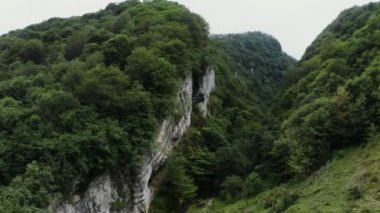 Dağ geçidi manzarası, ovalarda dağ nehri ve ormanla kaplı.