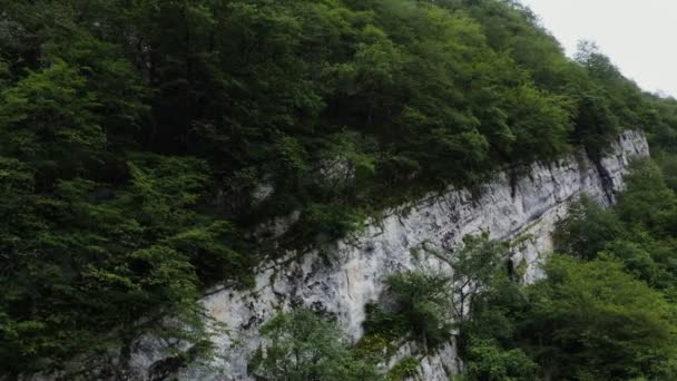 从无人驾驶飞机上俯瞰着密布着绿林的高山峡谷 — 图库视频影像