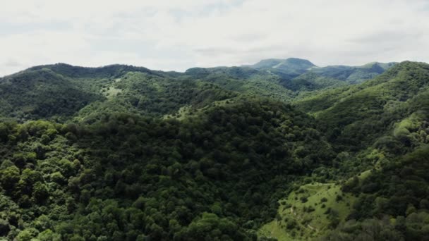 Lövés egy quadcopter, kilátás nyílik egy dombos völgyben benőtt erdő — Stock videók