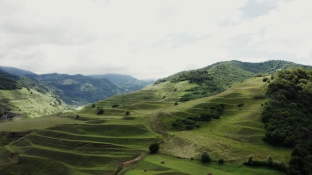 Мягкий горный склон с травой с волнами террас из квадрокоптера — стоковое видео