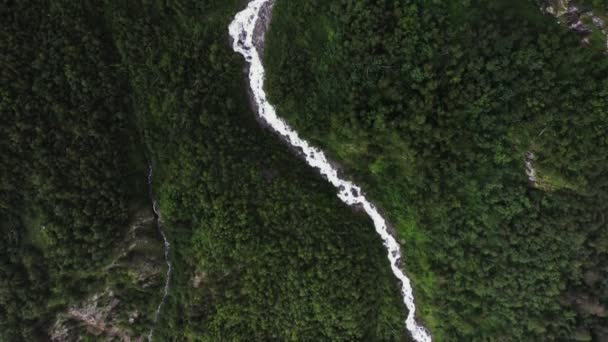 山の間の低地の森林の間の山の川の空中ビュー — ストック動画